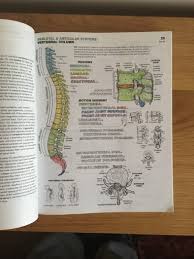 The book was brand new and totally undamaged when it arrived. The Anatomy Coloring Book Wynn Kapitlawrence M Elson For Sale In Killiney Dublin From Lukew23