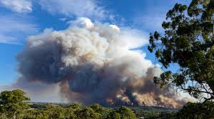 And so.what are the best cherry garden configurations that you have used or come across? Cherry Gardens Fire Emergency Warning Downgraded As Homes Likely Lost The Advertiser