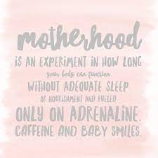 And they might be right. Funny Mom Quotes Funny Mommy Quotes Funny Parent Quotes Funny Quotes Mom Quotes Mommy Quotes Mother Qu Funny Mom Quotes Parents Quotes Funny Mommy Quotes