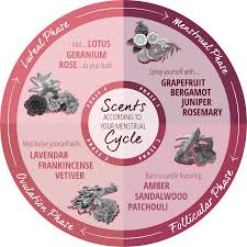 Essentialoils For Eachphase Of Your Menstrualcycle Essential Oils Can Bring Ease And Joy To Any Phase Of You Womb Healing Menstrual Cycle Menstrual Health