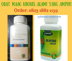 Jenis bakteri ini dapat mengiritasi atau melukai dinding lambung yang. Obat Sakit Maag Maag Kronis Asam Lambung Tinggi Home Facebook
