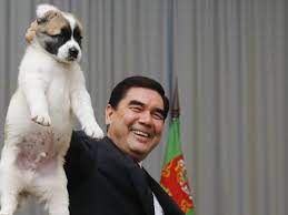 The dog breed, akita, originated in the snowy and rural lands of akita and odate, mountainous regions of japan. A Puppy For Putin But For Dogs In Turkmenistan It S Open Slaughter Cities The Guardian