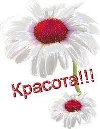 Красота - С надписями - Открытки Гиф