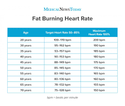 fat burning heart rate definition chart and effectiveness