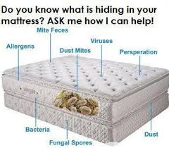 Mattress Cleaner Norwex Norwex Mattress Cleaner Mattress Cleaning Mattress Cleaner