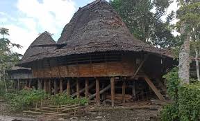 Material untuk struktur rumah adat nias. Jejak Arsitektur Kuno Rumah Adat Nias Di Desa Tumori Gunungsitoli