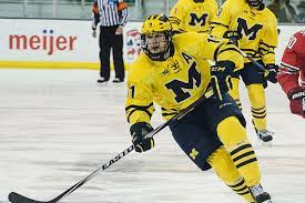 #11 for the toronto maple leafs, author, president of eleven holdings corp. Michigan S Zach Hyman Could Become A Free Agent Sb Nation College Hockey