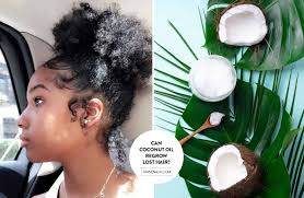 Coconut oil contains both antifungal and antibacterial properties to protect against potential fungal or bacterial problems that limit hair growth. Can Coconut Oil Regrow Lost Hair Come Find Out Thrivenaija