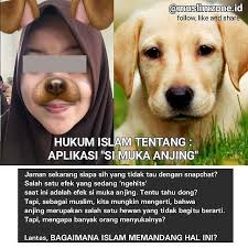Dalam Al Quran Surat Al Araf Ayat 176 Allah Subhanahu Wa Taala Berfirman Dan Kalau Kami Menghendaki Sesungguhnya Kami Tinggikan Derajat Nya Dengan Ayat Ay Islam