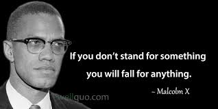 Search in the quotations of malcolm x : Malcolm X Quotes Well Quo