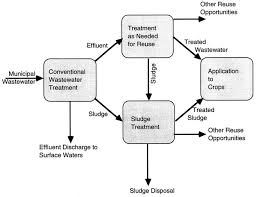 3 Municipal Wastewater And Sludge Treatment Use Of