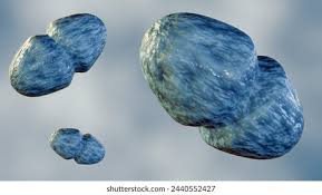 Image result for Vancomycin Resistant Enterococcus