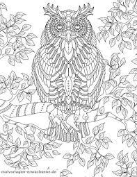 Malvorlage Eule Auf Ast Tiere Coloring Books Coloring Book Pages Animal Coloring Pages Malvorlage eule pdf eule mandala 187 gratis ausdrucken ausmalen 187 artus. malvorlage eule auf ast tiere