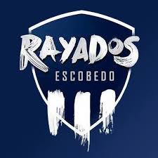 En total, rayados tiene 15 campeonatos oficiales, de los cuales 11 han sido a nivel local y 5 internacionales, a lo largo de 75 años de existencia. Escuela Oficial Rayados Escobedo Beranda Facebook