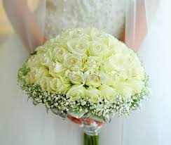 Famousipod Berbagi Informasi Tentang Pertanian Brollop