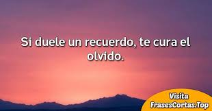 En este post podrás ver lindos y románticos estados para whatsapp de amor gratis, elige tu favorito para expresar la belleza de tus sentimientos. Estados Y Frases Para Whatsapp Cortas Bonitas Y Originales