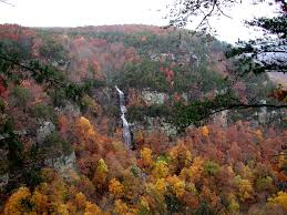 Maybe you would like to learn more about one of these? Cloudland Canyon State Park Wikipedia