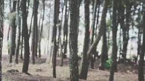 Mega office park merupakan kawasan komersial eksklusif di kota harapan indah yang berada di dalam kawasan hunian seluas 2200 ha. Mega Tutupan Legok Sura Arjasari Youtube