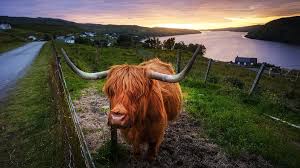 Each year a small group of approximately ten school of business. 14 Tage Schottland In 14 Bildern Reiseblog Von Christian Oser