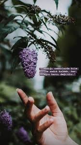 Anlamli Sozler Guzel Sozler In 2020 Cool Words Flowers Photography Best Poems