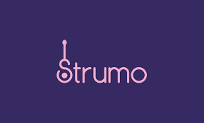 Strumo Is A Brand Name For Sale At Brandpa This Musical Domain Name Plays On The Word Strum Meaning To Play A Gu Guitar Lessons Startup Logo Music Lessons