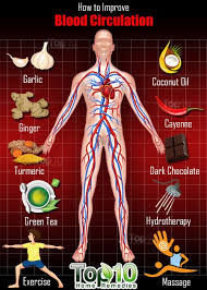 Pin On Health