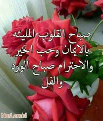 Pin By Manal On صباح الخير Good Morning Flowers Christmas Ornaments Holiday Decor