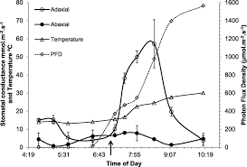 La console japonaise dispose d'atouts conséquents ! Opportunistic Survival Strategy Of Welwitschia Mirabilis Recent Anatomical And Ecophysiological Studies Elucidating Stomatal Behaviour And Photosynthetic Potential