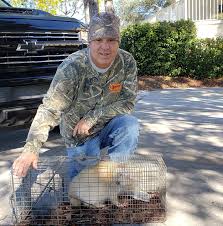 Expert Rodent & Wildlife Removal