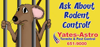 Disinfecting and pest control services. Rodent Control Savannah Rodent Exclusion Savannah Ga