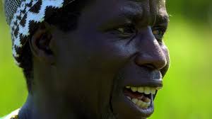 Fundraiser by Nfamara Badjie : high tunnel collapse threatens farm's future