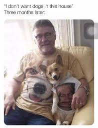 27 Hilarious And Funny Animal Memes That Will Thrill Your Soul Funny Pictures Funny Animals Animal Memes