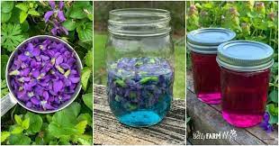 Homemade Violet Jelly