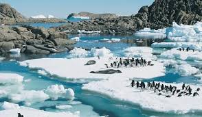 Cografya Geography Panosundaki Pin