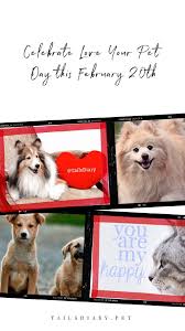 Check spelling or type a new query. Love Your Pet Day Is Celebrated On February 20th But For Us It Is An Everyday Occurrence As We Love Our Pets As If Pet Day Love Your Pet Day