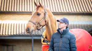 I have been very fortunate to have ridden and developed some incredibly talented horses with them and i look forward to many more successful years together. Explosion W A Natural Born Winner Meet Ben Maher S Olympic Horse