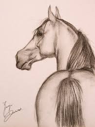 Beautiful I Wish I Could Draw Like This Horse Drawing Animal Drawings Horse Drawings