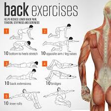 Pin On Back Pain Exercises