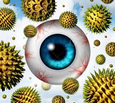 Hay Fever And Pollen Allergy Concept As A Group Of Microscopic ...