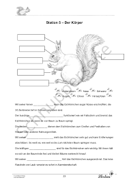 Modern gratis ohne anmeldung sofort downloadbar von kollege zu. Das Eichhornchen Lernbiene Verlag