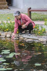 A pond is an area filled with water, either natural or artificial, that is smaller than a lake. An Old Woman Who Playing With Fish Side Of The Pond Stock Photo Picture And Royalty Free Image Image 34300595
