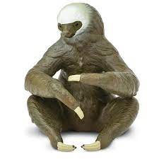 Two Toed Sloth Wild Safari Figure Safari Ltd Animal Figures Animal Figurines Two Toed Sloth