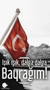 turk bayragi mobil duvar kagidi wallpaper duvar kagidi populer pinler bayrak