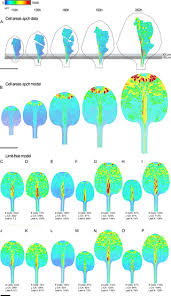 We did not find results for: Spatiotemporal Coordination Of Cell Division And Growth During Organ Morphogenesis