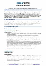 account director resume samples
