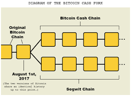 This hard fork resulted in a chain split and a new coin: Bitcoin Cash Bch For Beginners What Is Bitcoin Cash By Zebpay Zebpay
