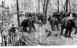 Khedda - Wikipedia
