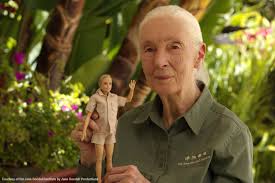 The world of science is in mourning: Jane Goodall, the voice of the  chimpanzees and an inspiration for generations, has passed away. - Noticias  Ambientales