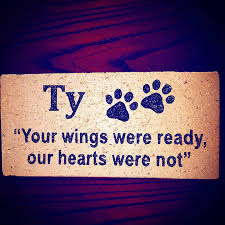 Tyler Rubenstein (@ty_wears_ties) • Instagram photos and videos