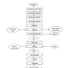 process flow sheets mango leather production process